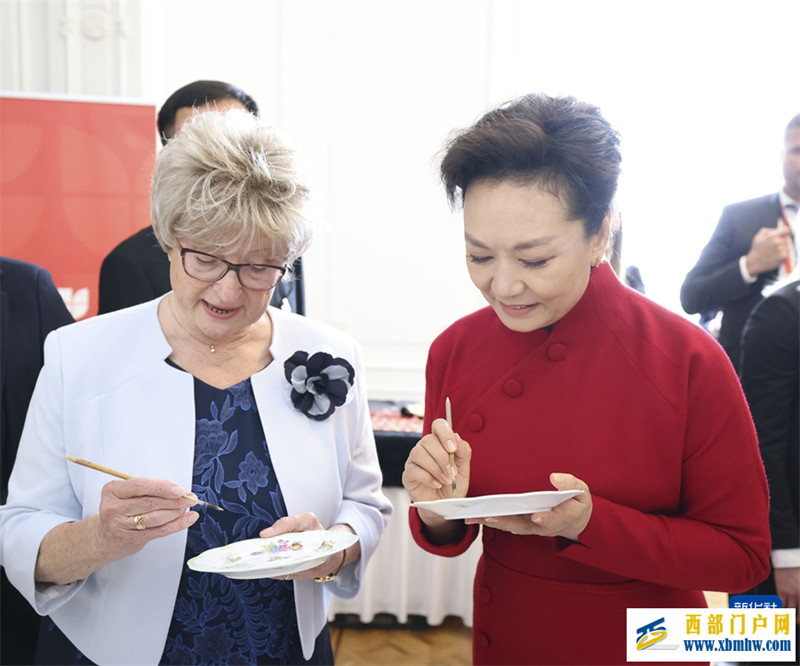 彭丽媛同匈牙利总统舒尤克夫人纳吉参观布达王宫并茶叙(图2)