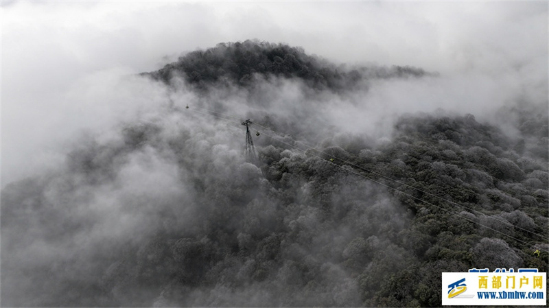 贵州梵净山：春日云海雾凇如画卷(图5)