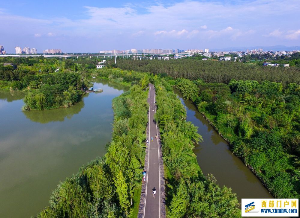 在成都｜从晨曦到夜色，感受生态之城的绿色脉搏(图11)