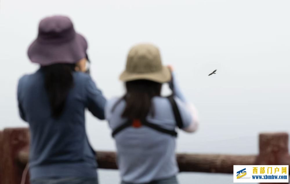 在成都｜从晨曦到夜色，感受生态之城的绿色脉搏(图14)