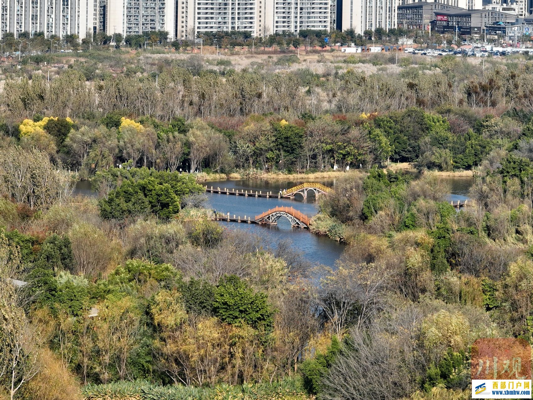 西昌邛海喊你来过“暖冬” 骑上单车闯入一片刺桐花海(图1)