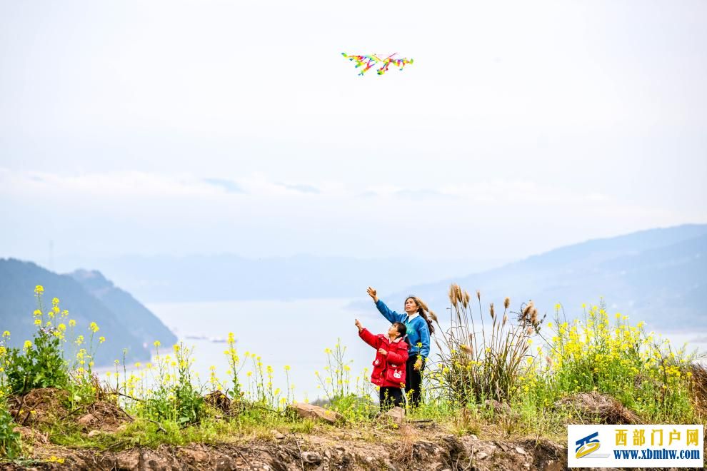 重庆丰都:油菜花开长江岸(图1) 重庆丰都:油菜花开长江岸(图1)