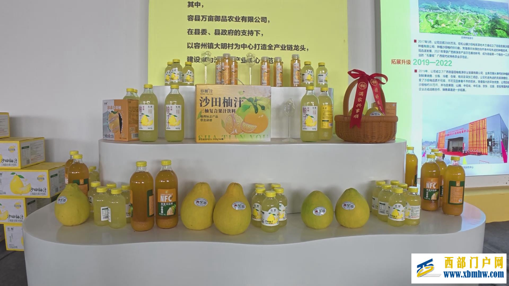 广西“果”然好| 提品质 延链条 强品牌——容县沙田柚的产业振兴密码(图5) 广西“果”然好| 提品质 延链条 强品牌——容县沙田柚的产业振兴密码(图5)