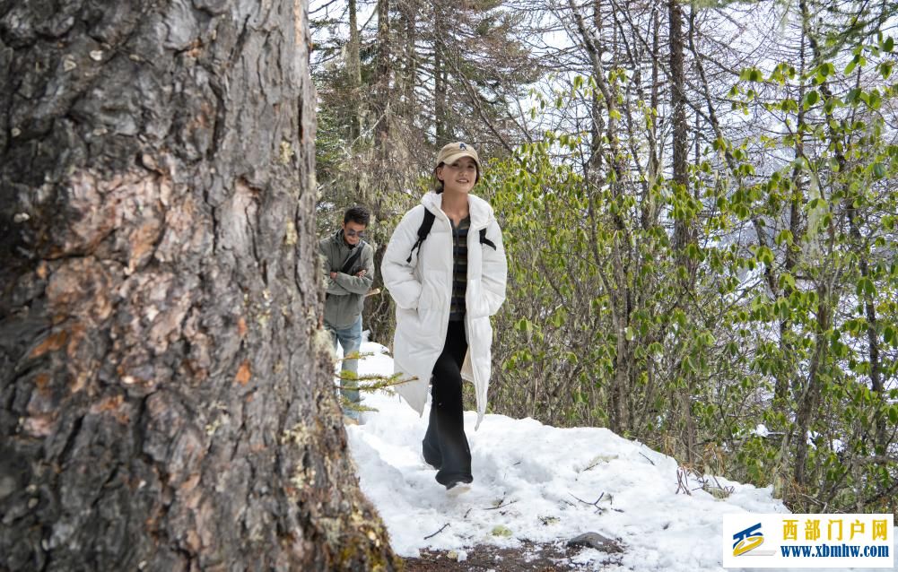 西藏白普隆沟:在漫天风雪中追寻春天(图3) 西藏白普隆沟:在漫天风雪中追寻春天(图3)