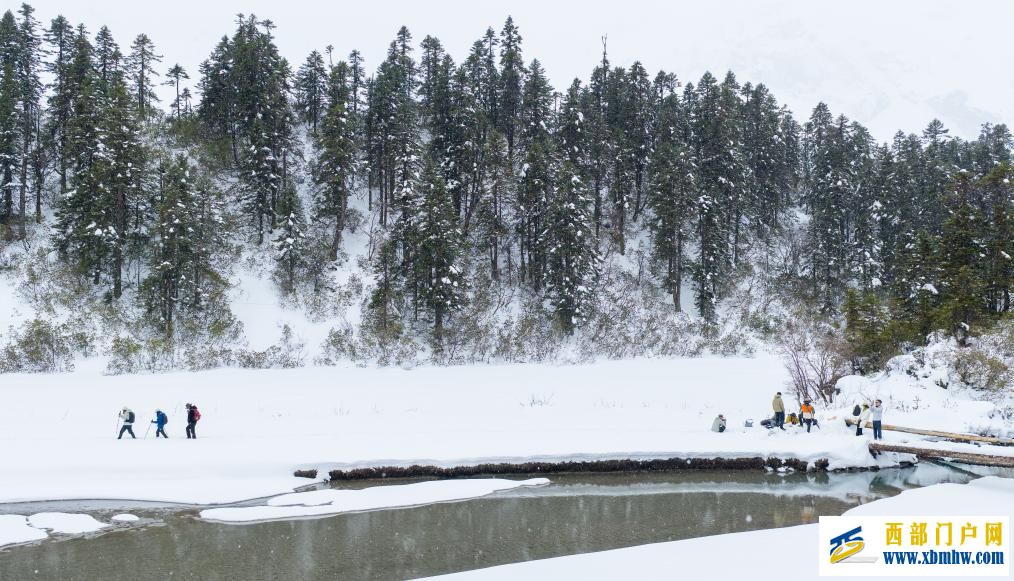 西藏白普隆沟:在漫天风雪中追寻春天(图4) 西藏白普隆沟:在漫天风雪中追寻春天(图4)